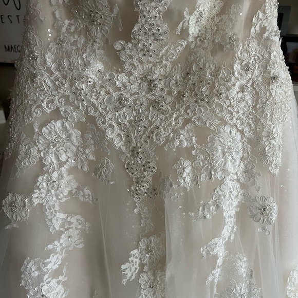 Elegant Lace Wedding Dress - Picture 6 of 16